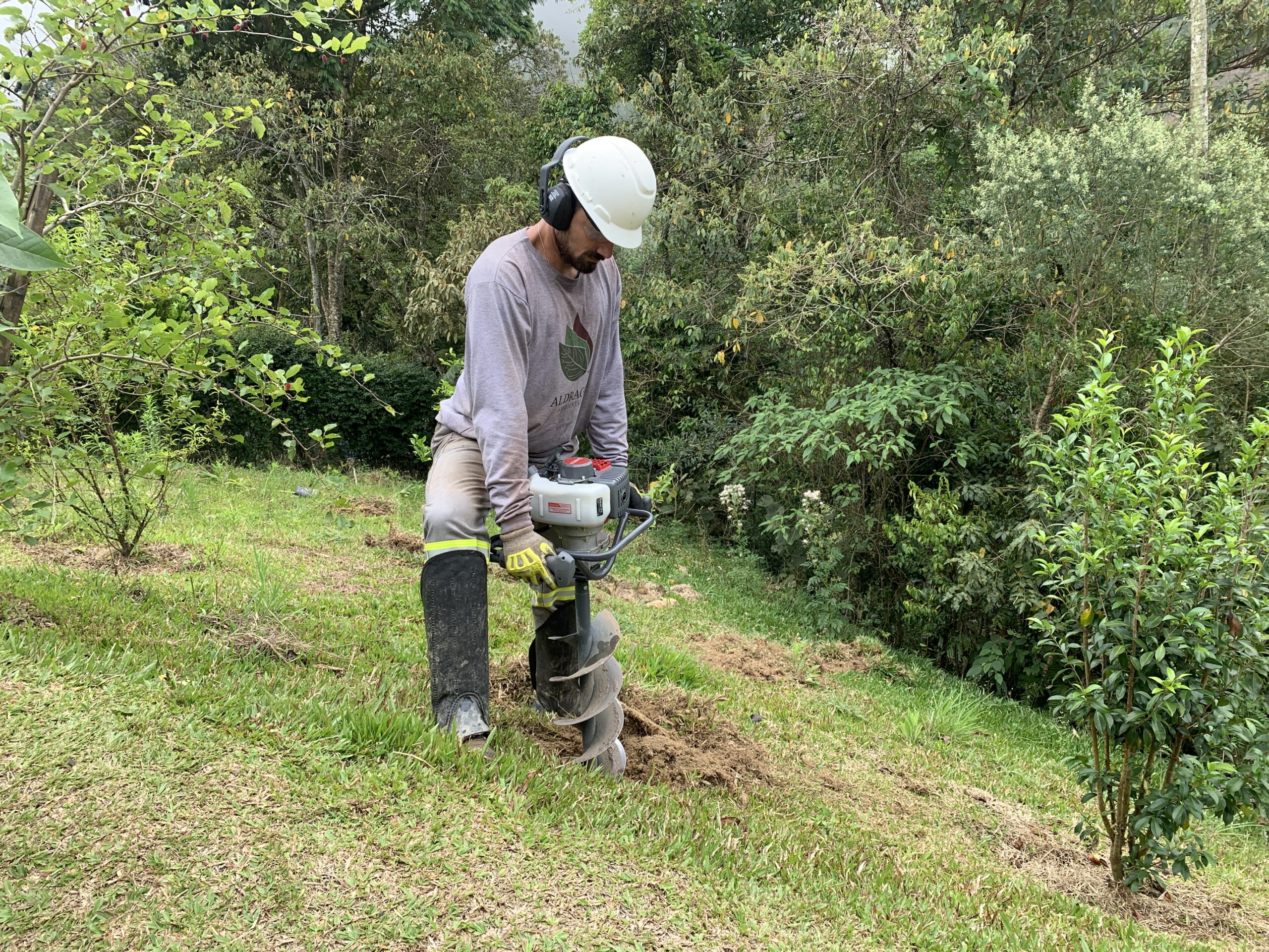Restauração Ecológica em Lumiar