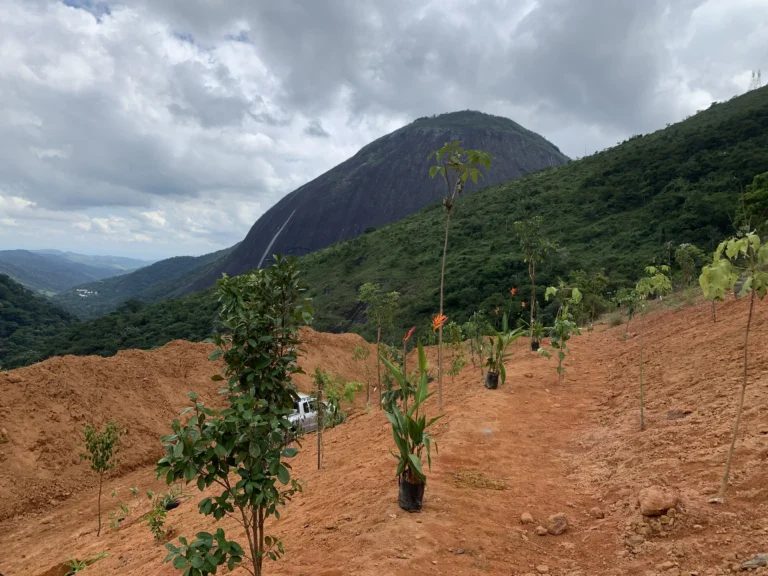 Restauração Ecológica
