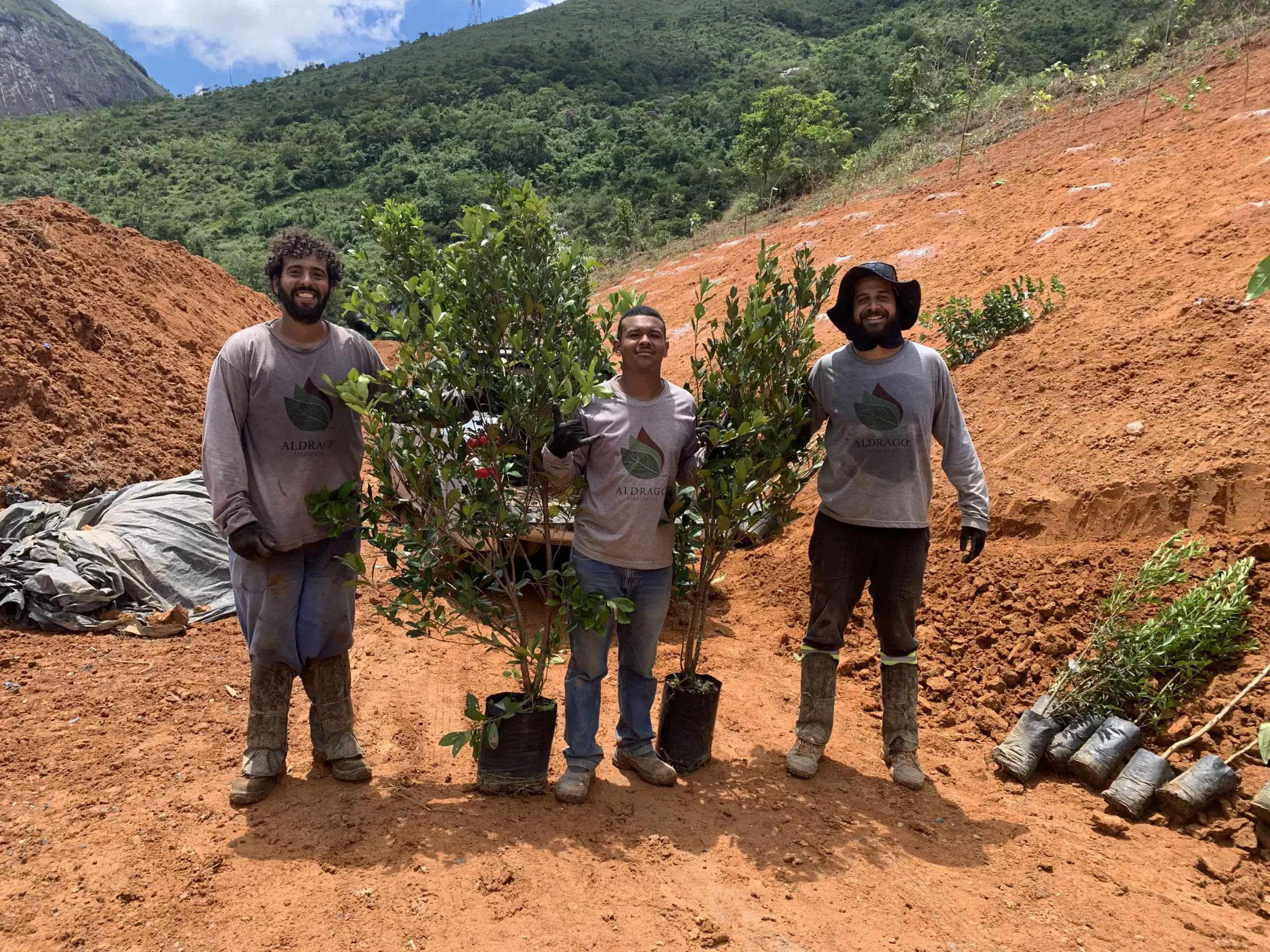 Restauração Ecológica