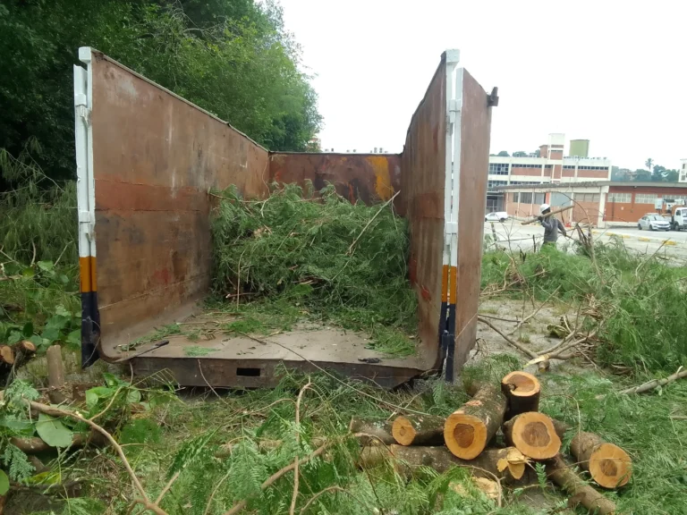 Manejo de Áreas Verdes