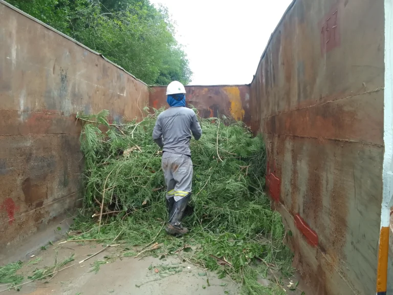 Manejo de Áreas Verdes