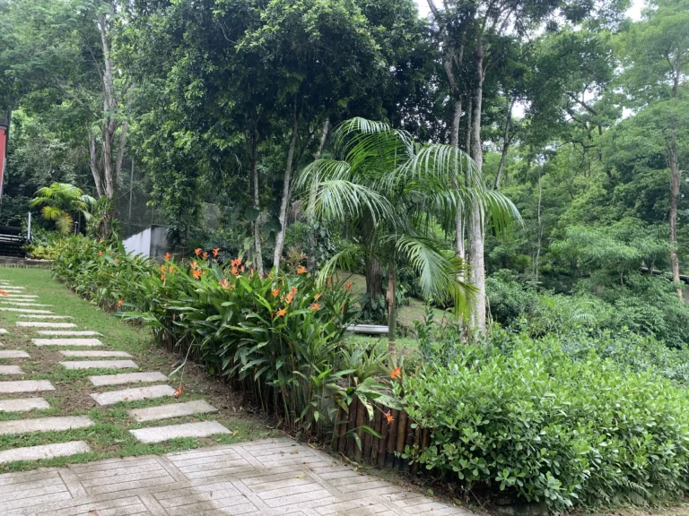 Paisagismo Engenho do Mato