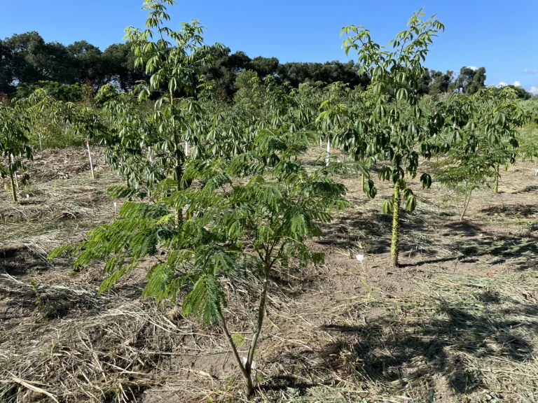 Implantação Manutenção e Apoio a Experimentos Científicos