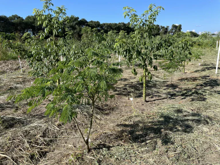 Implantação Manutenção e Apoio a Experimentos Científicos