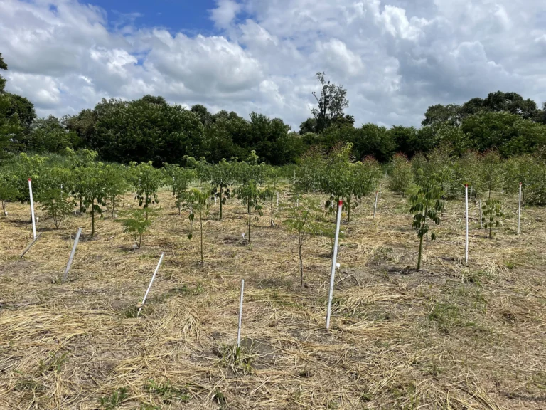 Implantação Manutenção e Apoio a Experimentos Científicos