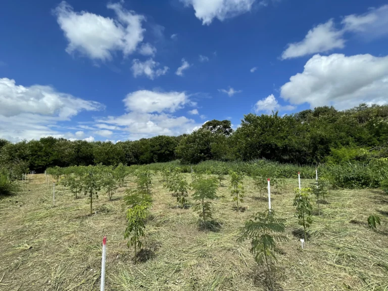 Implantação Manutenção e Apoio a Experimentos Científicos
