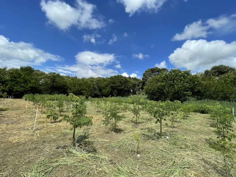 Implantação Manutenção e Apoio a Experimentos Científicos