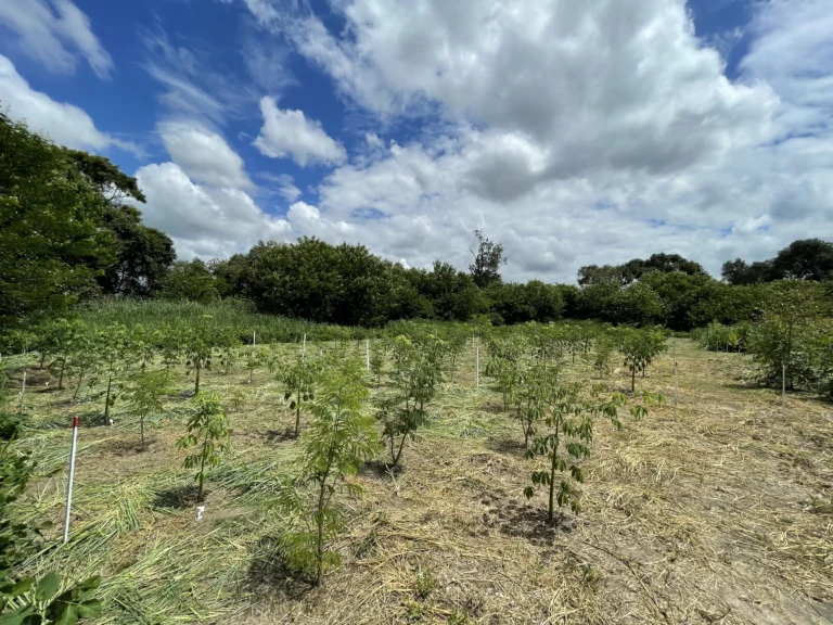 Implantação Manutenção e Apoio a Experimentos Científicos
